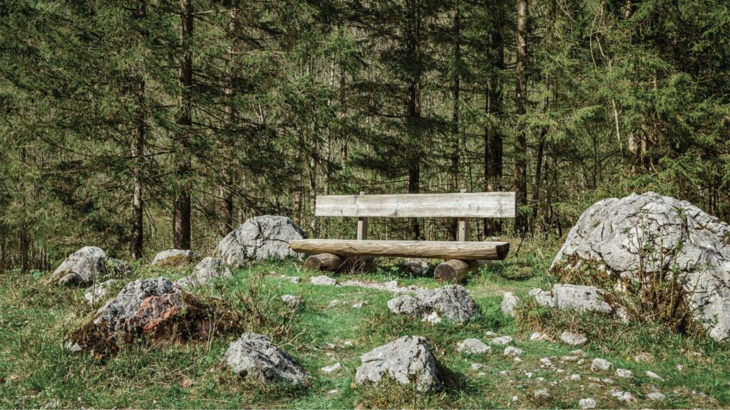 Holzbank im Wald die zum Alleinsein und Verweilen in der Natur einlädt