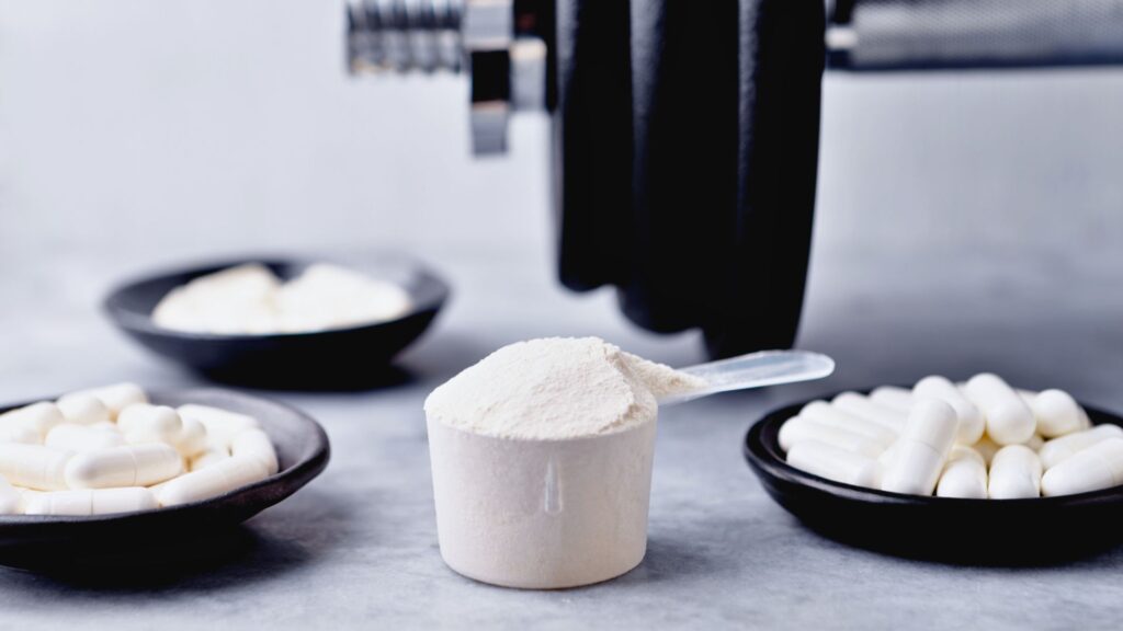 Supplements Creatine Magnesium und Proteine als weitere Ergänzung