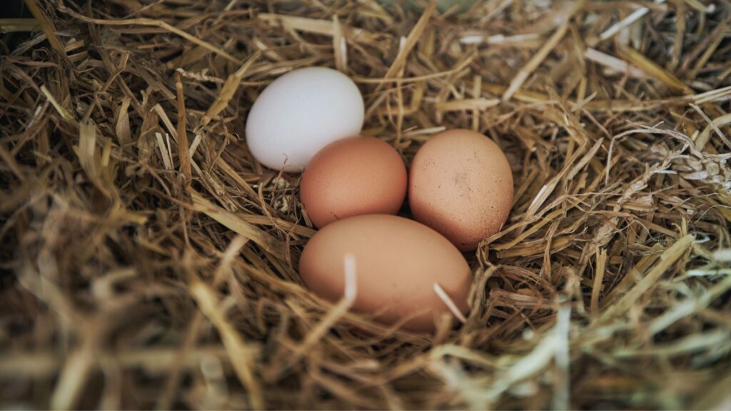 Eier auf Stroh - Naturnahe minimalistische Biohacking Ernährung