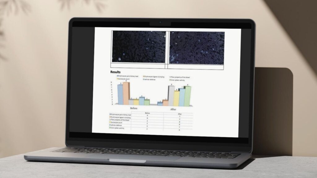 Laptop mit geöffnetem Studienbericht zu Leela Quantum Tech, inklusive Blutbildern und Balkendiagrammen